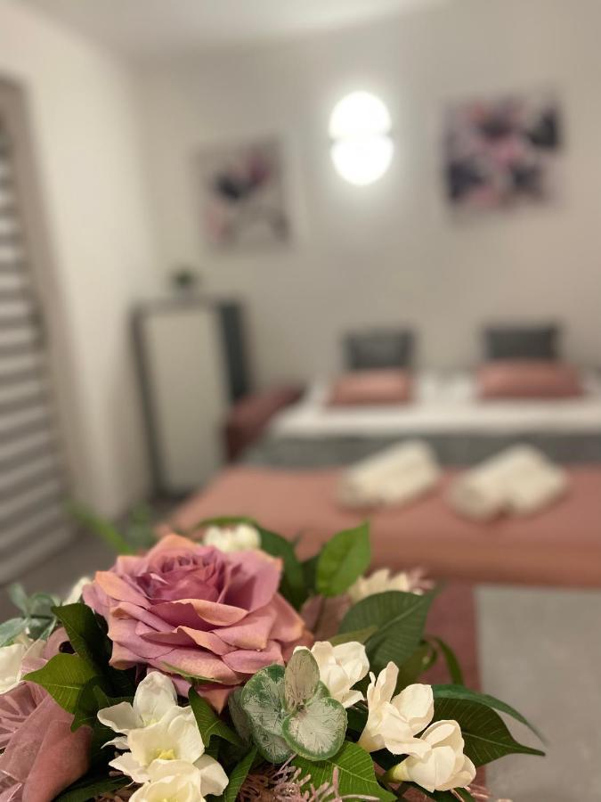 Apartman Stipancic Labin  Eksteriør bilde